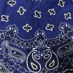 LuLaroe TC 12-18 Legging blue bandana